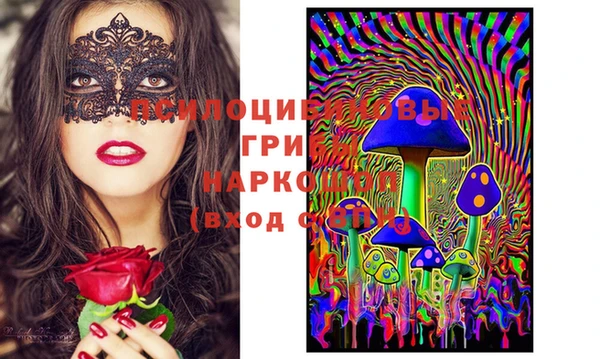 spice Протвино