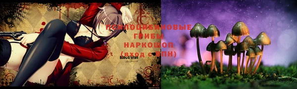 ALPHA-PVP Пролетарск