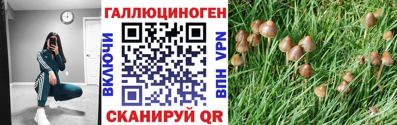 Купить закладки  Таганрог  Галлюциногенные грибы MAGIC MUSHROOMS 